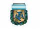 AFA (Asociacion del Futbol Argentino)
